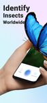 Captura de tela do apk Picture Insect - Insect Id Pro 14