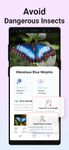 Screenshot 8 di Picture Insect - Insect Id Pro apk