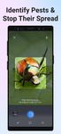 Captura de tela do apk Picture Insect - Insect Id Pro 7