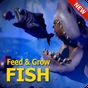 Guide for Fish Feed Grow Series 2020의 apk 아이콘