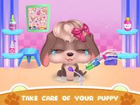 Imagine My Puppy Care Daycare Clinic 2