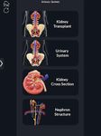 Captură de ecran My Urinary System apk 3