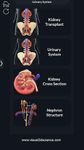 Captură de ecran My Urinary System apk 14