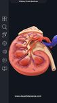 Captură de ecran My Urinary System apk 13