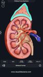 Captură de ecran My Urinary System apk 12