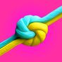Go Knots 3D apk icon