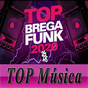 Ícone do apk Brega Funk 2020 : musicas