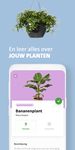 Intratuin: planten, tuin & terras, dieren & wonen screenshot APK 