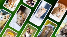 Kitten Wallpaper 4K ekran görüntüsü APK 5