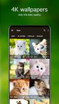 Kitten Wallpaper 4K capture d'écran apk 4