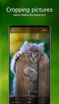 Fondos de pantalla con gatitos 4K captura de pantalla apk 2