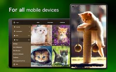 Kitten Wallpaper 4K ekran görüntüsü APK 