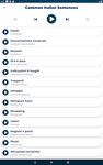 Captură de ecran Învață limba Italiană - Ascultă și vorbeşte apk 12