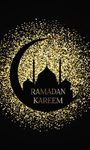 Ramadan Mubarak Wallpapers ekran görüntüsü APK 1