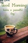 Gambar Good Morning Images Gif With Beautiful Quotes 13