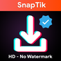 SnapTik -Video Downloader for TikTok & TikTok Lite apk icono