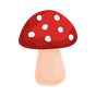 Shroomify - Mushroom Identification Icon