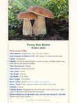 Shroomify - Mushroom Identification screenshot apk 5