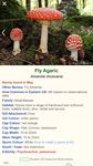 Screenshot 15 di Shroomify - Mushroom Identification apk