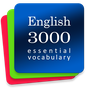 Learn English 3000. Учить английский язык