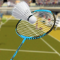 Biểu tượng apk Badminton League 2019 - badminton racket game