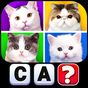 4 Pics 1 Word Pro - Pic to Word, Word Puzzle Game Simgesi