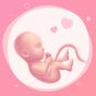 Pregnancy App  icon