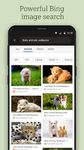 Screenshot 5 di Bing Wallpapers apk