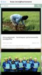 รูปภาพที่ 3 ของ เกษตรดิจิทัล - Digital Farmer