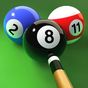 Ikon Pool Tour - Pocket Billiards