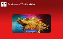 Imagine Face Tube - Pause videos with Face Detection 3