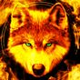 Fire Wallpaper and Keyboard - Lone Wolf