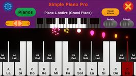 Tangkapan layar apk Simple Piano Pro 19