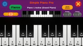 Tangkapan layar apk Simple Piano Pro 13