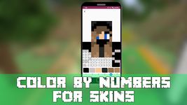 MCPE Skin Pixel World for Minecraft Color byNumber zrzut z ekranu apk 4