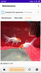 MyAquarium Fish tank manager afbeelding 18