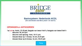 Bridge Beter screenshot APK 6