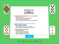 Bridge Beter screenshot APK 1