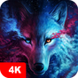 Hintergrundbilder mit Wölfe 4K