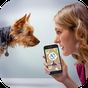 Dog Language Translator Simulator - Talk to Pet icon