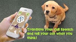 Скриншот 3 APK-версии Dog Language Translator Simulator - Talk to Pet