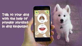 Скриншот 2 APK-версии Dog Language Translator Simulator - Talk to Pet