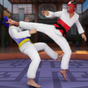 Taekwondo Fights 2020: Martial Art Fighting Games APK