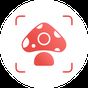 Icône de Picture Mushroom - Mushroom ID