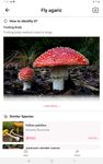 Captură de ecran Picture Mushroom - Mushroom ID apk 1