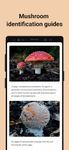 Captură de ecran Picture Mushroom - Mushroom ID apk 11