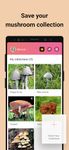 Screenshot 10 di Picture Mushroom - Mushroom ID apk