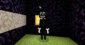 Mod Cartoon Cat for Minecraft afbeelding 1