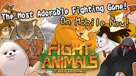 Fight of Animals-Solo Edition ảnh số 15