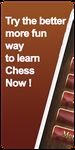 Szachy (chess) obrazek 5